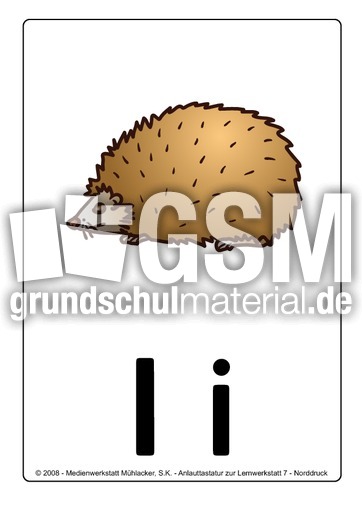 i-igel.pdf